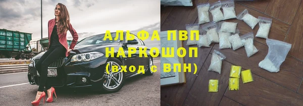 молекула духа Осташков