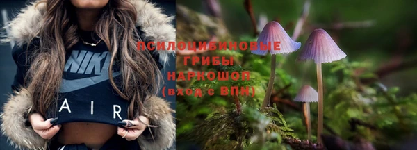 дурь Осинники