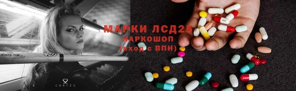 молекула духа Осташков