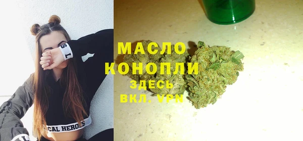 молекула духа Осташков