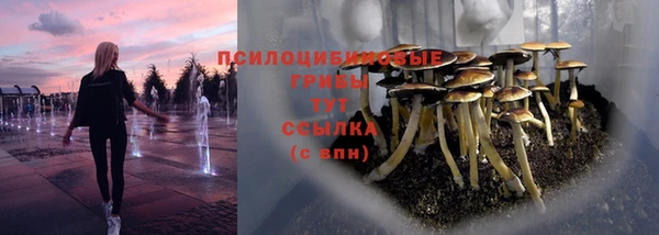 ALPHA-PVP Остров
