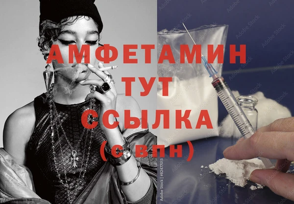 молекула духа Осташков