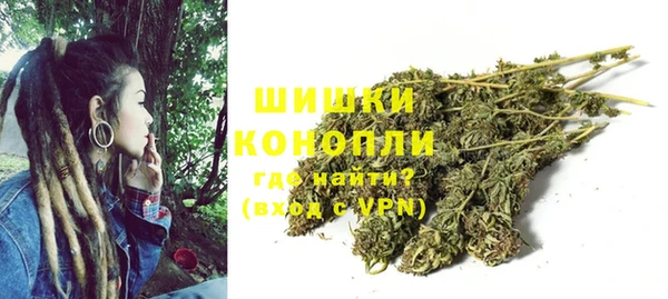 дурь Осинники