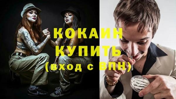 молекула духа Осташков
