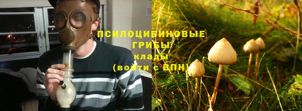 дурь Осинники