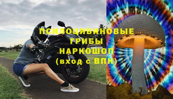 дурь Осинники