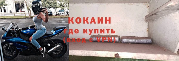 молекула духа Осташков