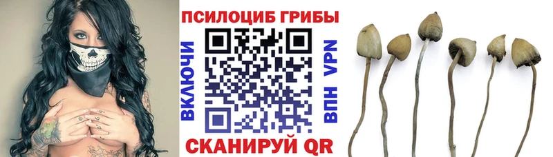 Псилоцибиновые грибы мухоморы  маркетплейс Telegram  Саки 
