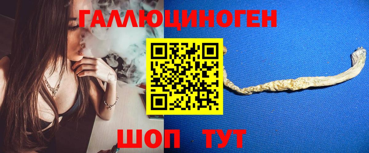 Псилоцибиновые грибы GOLDEN TEACHER  цены наркотик  Галлюциногенные грибы Psilocybine cubensis  Саки 