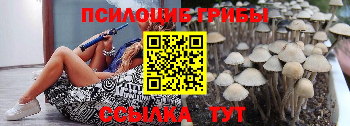 Галлюциногенные грибы Psilocybe Саки
