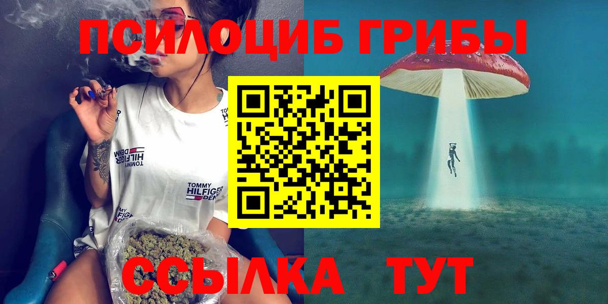 дарнет шоп  Вход с VPN  Саки  Псилоцибиновые грибы мицелий  Псилоцибиновые грибы GOLDEN TEACHER 